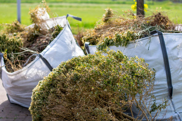 Best Mattress Removal Service  in Gypsum, CO
